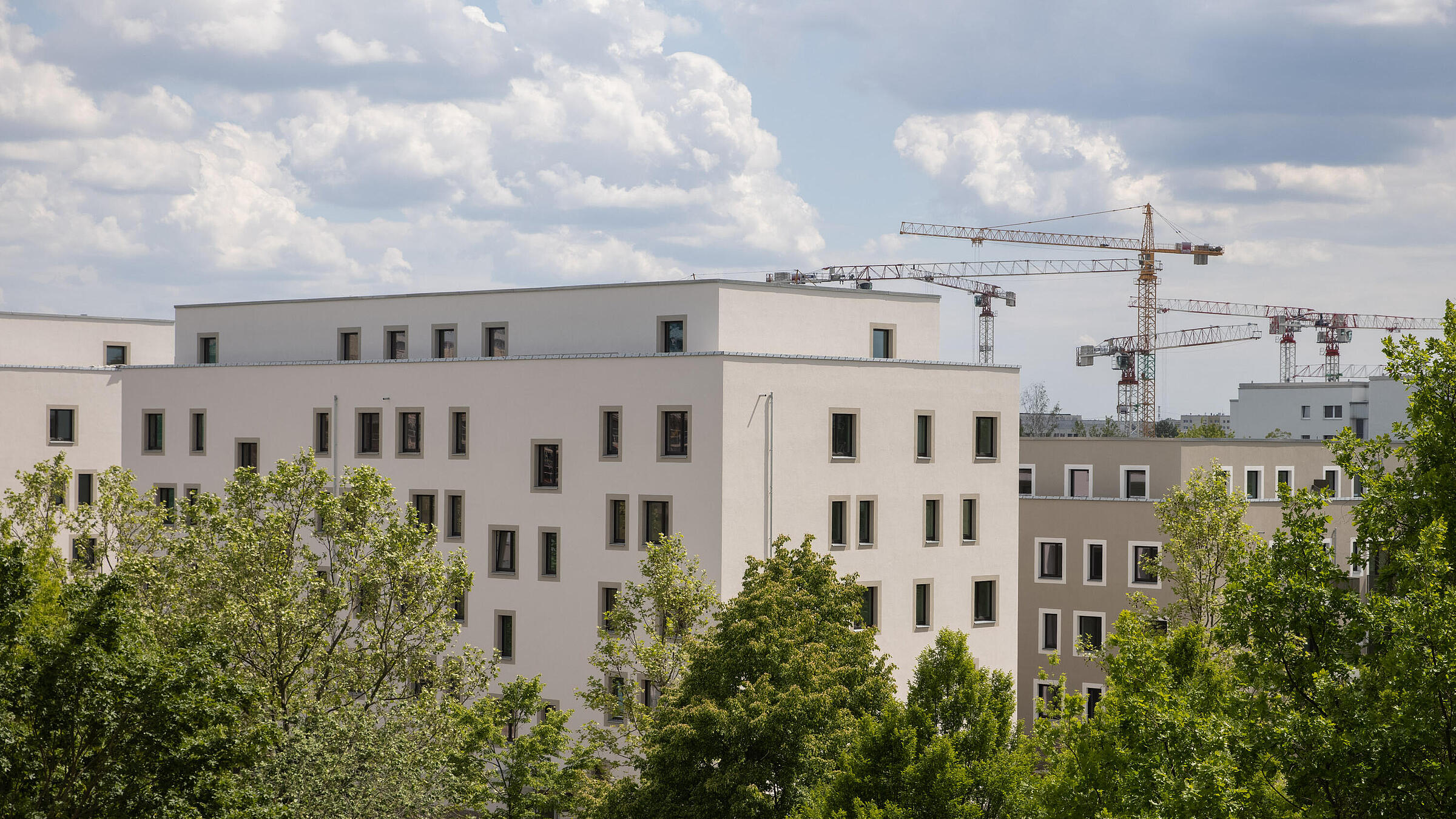 Mehrstöckige Häuser mit Baukränen