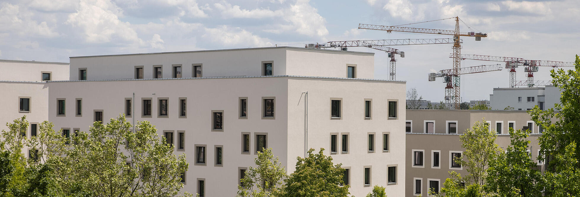 Mehrstöckige Häuser mit Baukränen