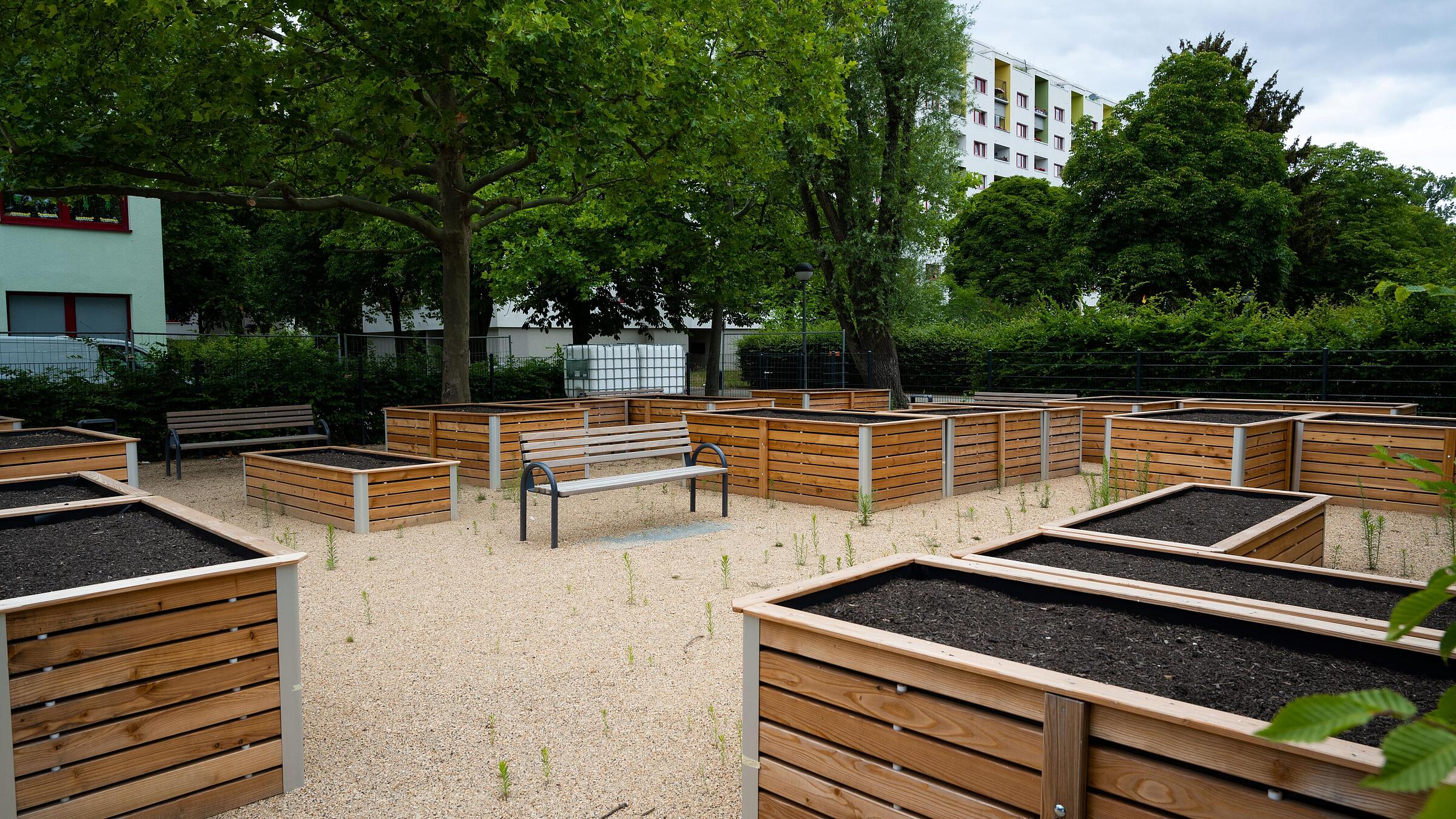 Nild zeigt Hochbeete für Urban Gardening im Märkischen Viertel (WHG 910).