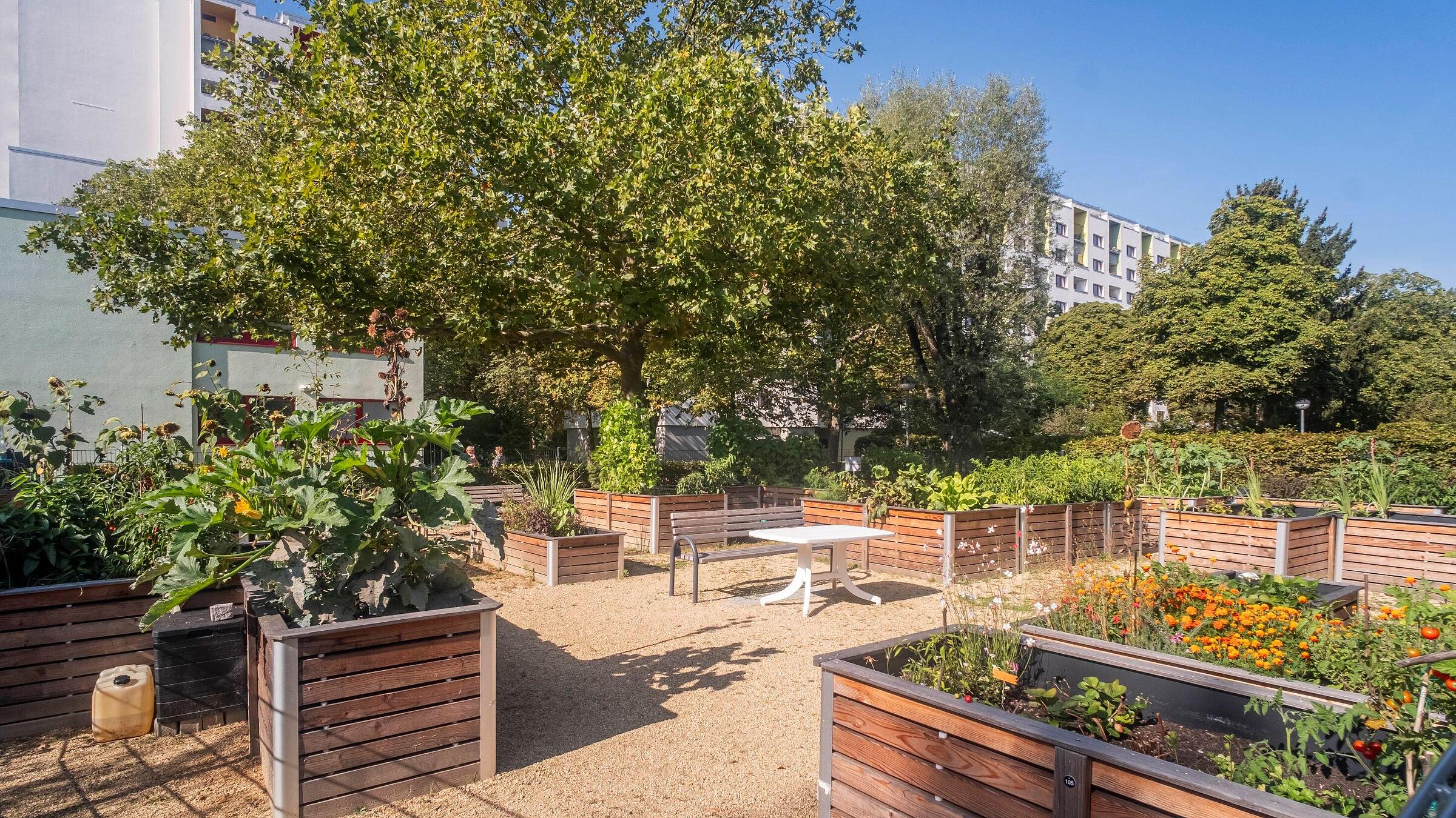 Bild zeigt blühende Urban Gardening  Beet im Märkischen Viertel (WHG 910). Im Hintergrund Wohnhäuser.