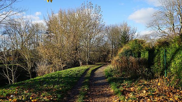 Die Außenaufnahme zeigt eine Naturlandschaft um den Fluss Wuhle in Berlin Marzahn-Hellersdorf. Gesäumt von grünem Gras und Waldflächen führt ein Weg, mittig im Bild gelegen, durch die Natur.  