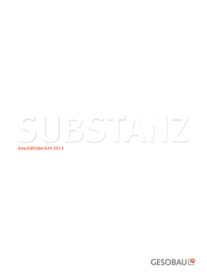 Vorschaubild der PDF-Datei Geschäftsbericht 2013 (nicht barrierefrei)