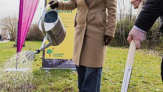 Nadja Zivkovic gießt einen gepflanzten Stadtbaum