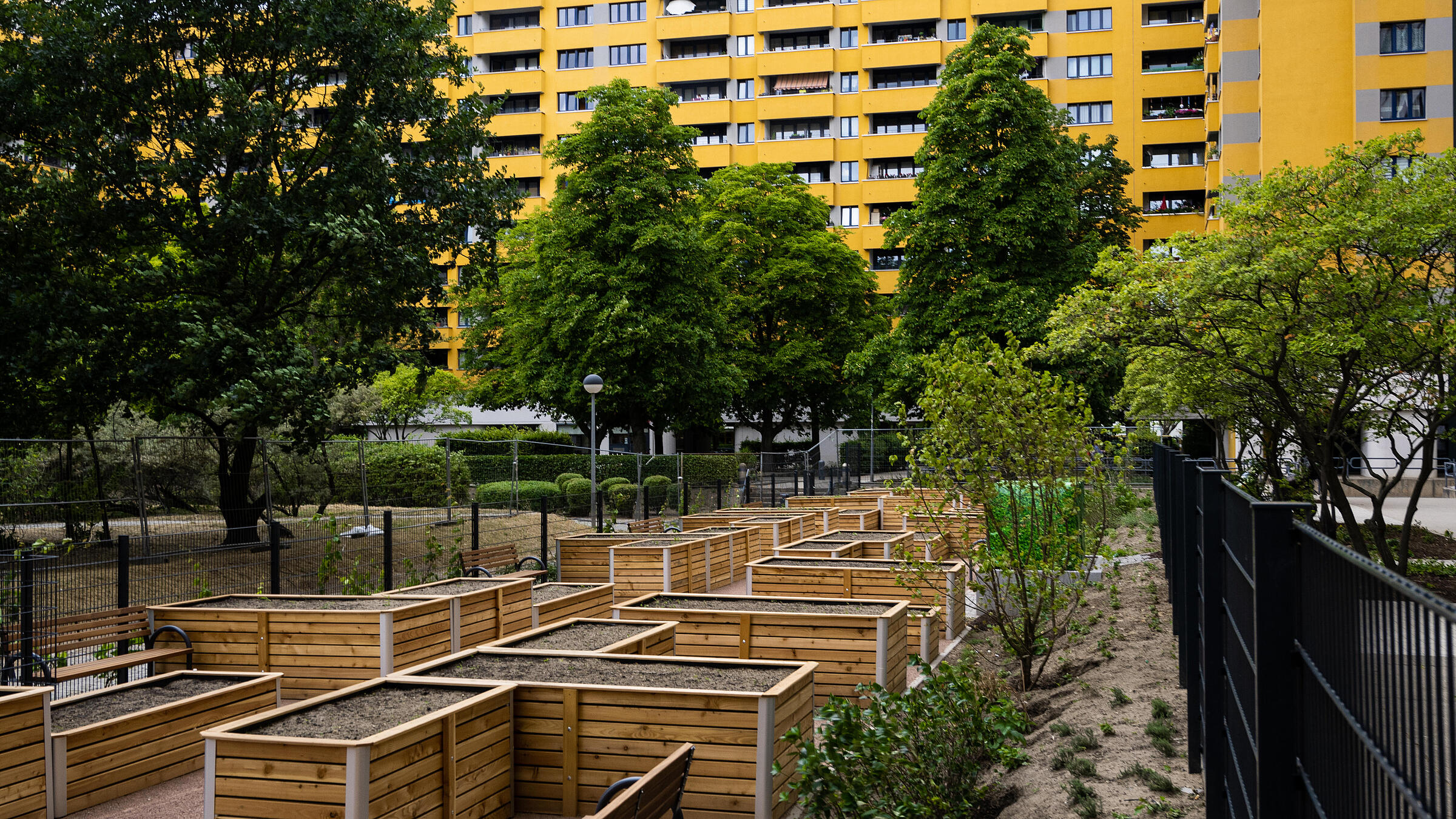 Außenaufnahme der neuen Urban Gardening Hochbeete zwischen Senftenberger Ring und Treuenbrietzener Straße. Im Hintergrund Mehrfamilienhäuser.