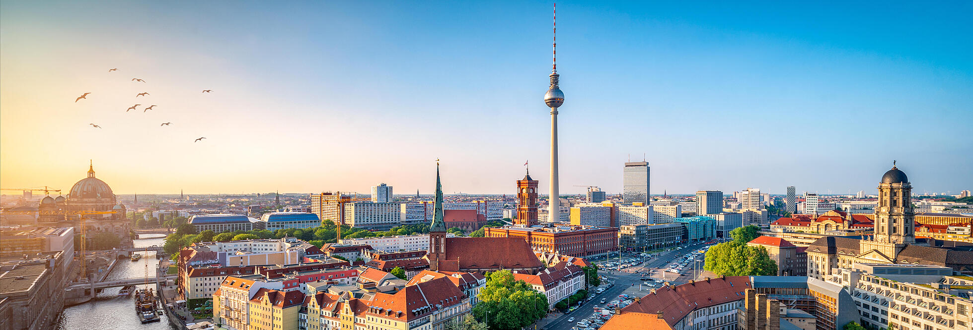 Außenaufnahme zeigt eine Panoramasicht auf Berlin im Sonnenschein. Mittig im Bild der Fernsehturm.
