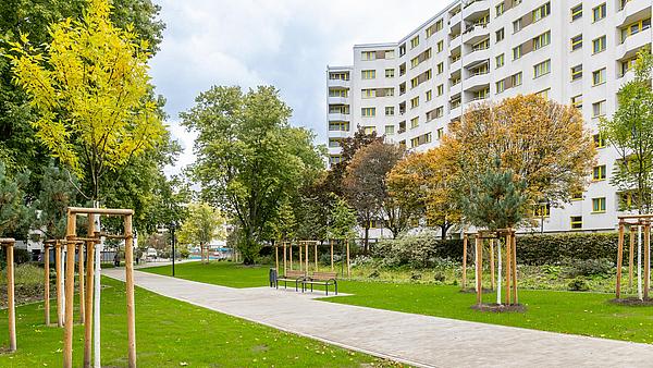 Die Außenaufnahme zeigt die Außenanlagen des Märkischen Viertels in Berlin Reinickendorf. Vor den sich im Hintergrund befindlichen weißen Fassaden ist ein Weg umringt von grüner Rasenfläche zu sehen. Zusätzlich zieren Bäume und Sitzgelegenheiten die Rasenfläche.