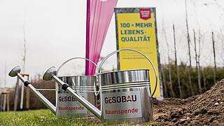 Gießkannen mit Gesobau-Logo stehen auf einer Grünfläche