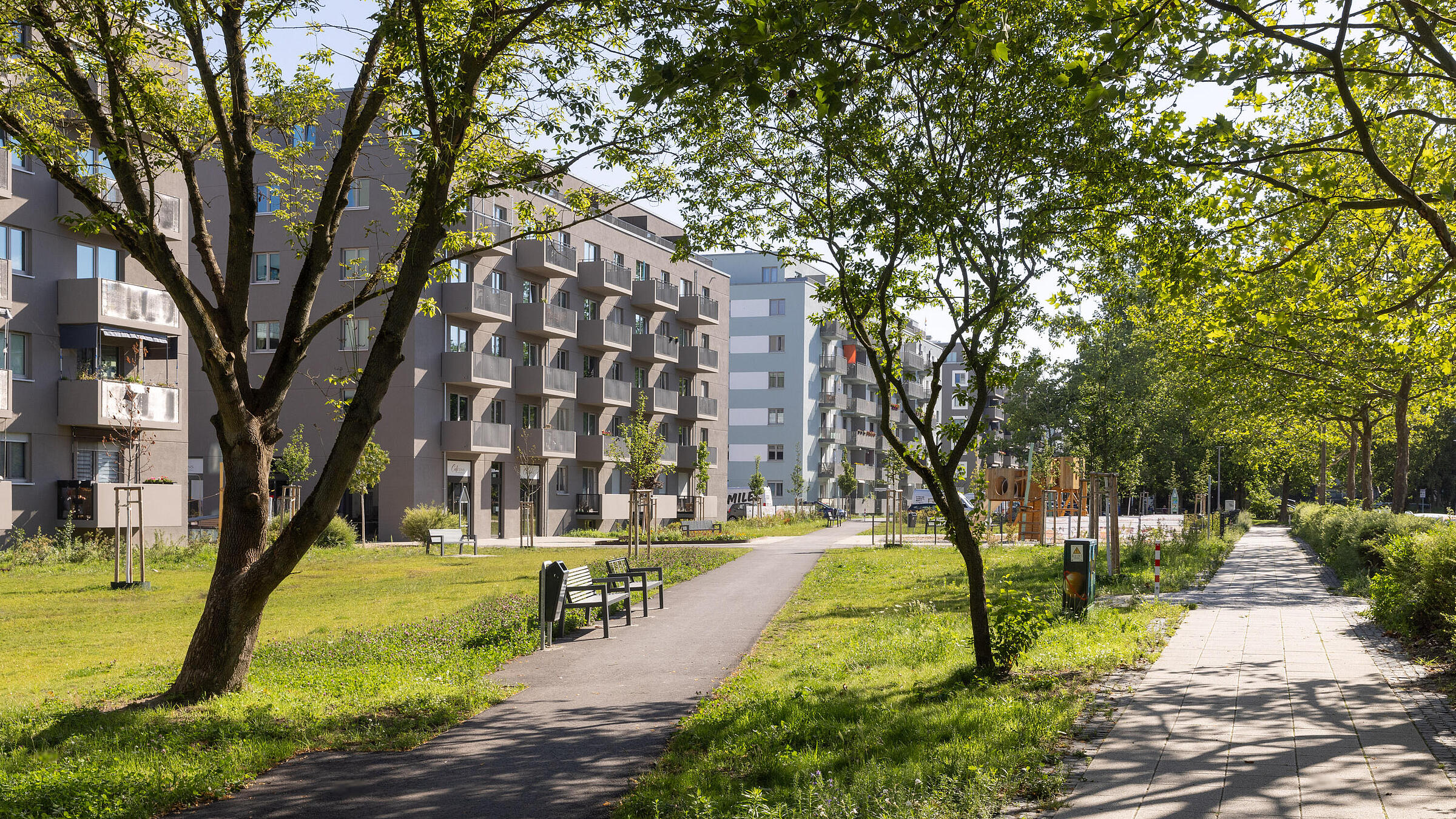 Stadtpark im Quartier Stadtgut Hellersdorf: Grünfläche umgeben von Bäumen