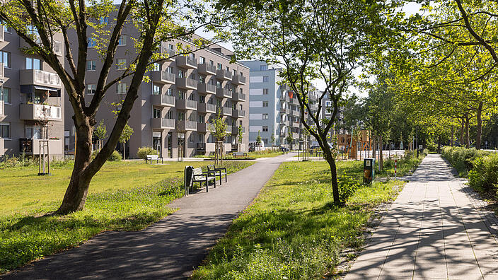 Stadtpark im Quartier Stadtgut Hellersdorf: Grünfläche umgeben von Bäumen