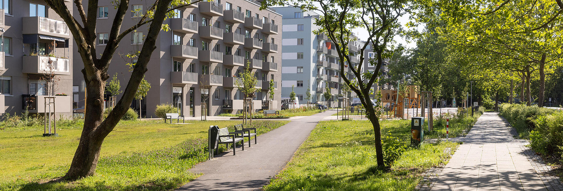 Stadtpark im Quartier Stadtgut Hellersdorf: Grünfläche umgeben von Bäumen