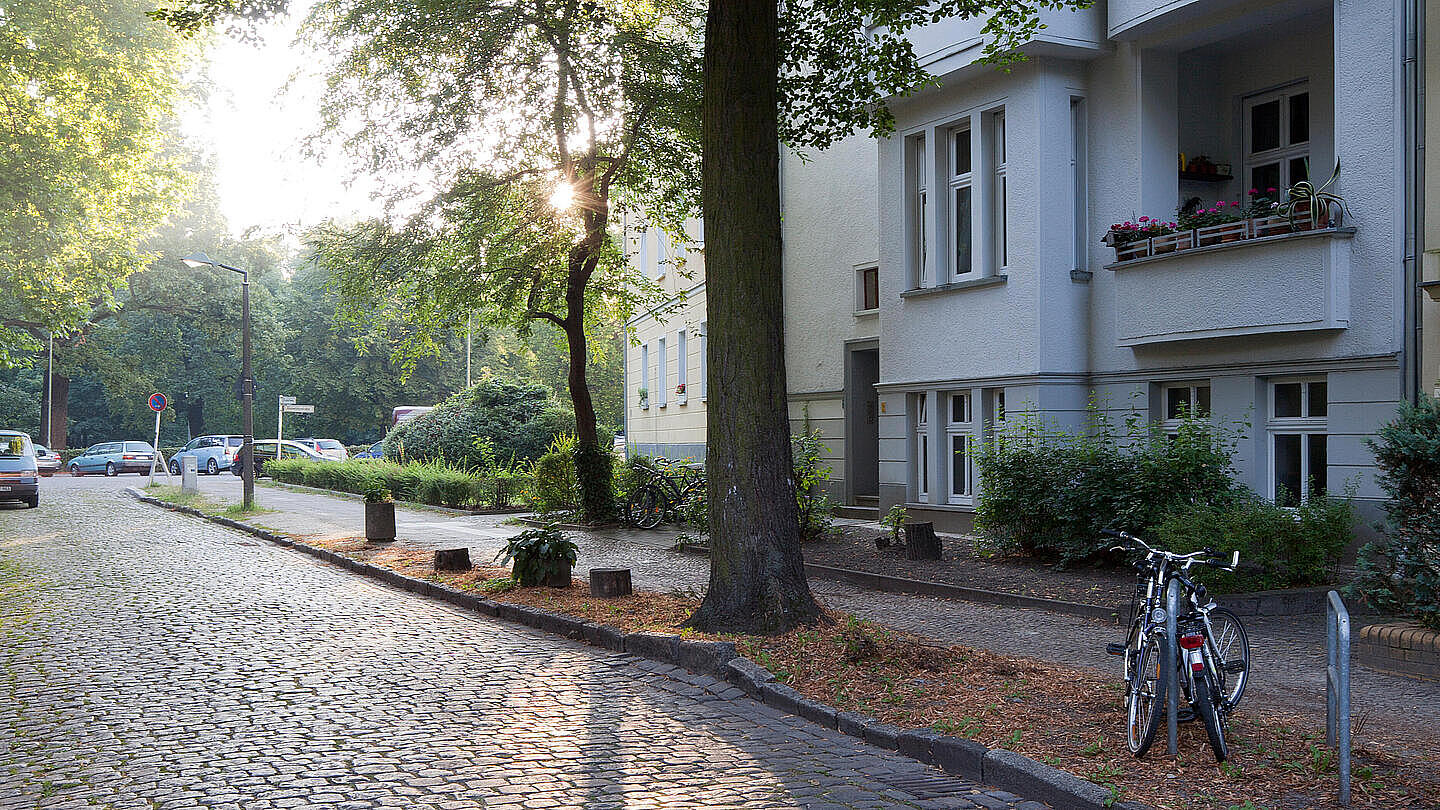 Die Außenaufnahme zeigt eine Straße im Sonnenlicht. Am Straßenrand befindet sich ein großer Baum, dahinter die weiße Fassade eines Hauses. Am Straßenrand befindet sich zudem ein angeschlossenes Fahrrad.
