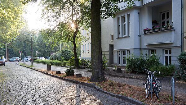 Die Außenaufnahme zeigt eine Straße im Sonnenlicht. Am Straßenrand befindet sich ein großer Baum, dahinter die weiße Fassade eines Hauses. Am Straßenrand befindet sich zudem ein angeschlossenes Fahrrad.
