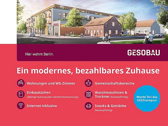 Exklusiv für Studis/Azubis - helles Zimmer in einer 2er-WG – Foto 10