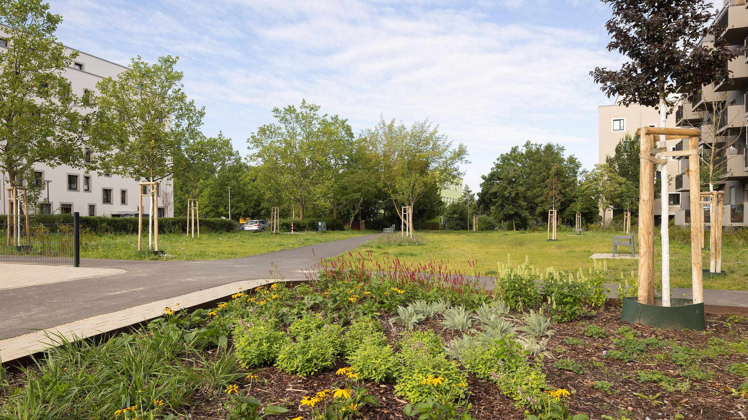 Stadtpark im Quartier Stadtgut Hellersdorf: Pflanzenbeet eingebettet in eine großzügige Grünfläche